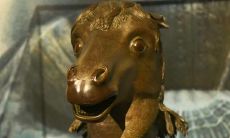 你是否找到了全中国的12种生肖？最佳出生时间为何？