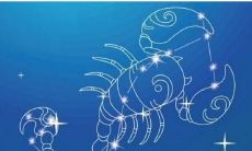 探究天蝎座女性的性格特点及其缺陷