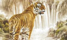 探究2023年12月份虎年生肖的运势（严谨剖析虎年本命年的2023年12月生肖运势）