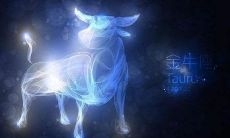 《2002年生的金牛座男生最适合从事哪些职业？——详解金牛座男生的职业倾向性和优势》