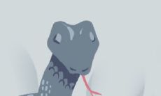 女性恋爱中若出现梦境中的蛇，这到底预示着什么？