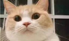 属龙人今年的运势如何？是否会受到58岁一灾的影响？