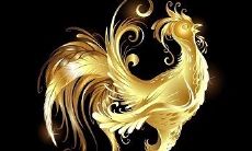 在农历十月出生的人，如果属鸡并且出生时辰属于上等命，是否会拥有更好的人生？