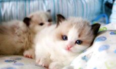 九封动人情书，用心写给双鱼座，为Ta带来泪目感动