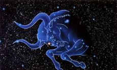 探究金牛座男生是否喜欢与人聊天：以金牛男与一位女生每日对话为例