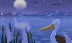 使用十二宫位星盘探索命运和性格：十二宫位星盘查询工具