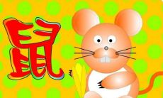 揭晓！最新一周的十二生肖运势预测，让你不再茫然！