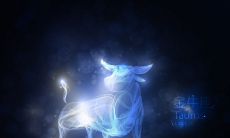 金牛座的独特特质和个性表现有何不同寻常的特点？