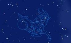 1月11日出生的摩羯：揭示水星摩羯座天赋卓越的智慧和聪慧才智