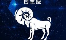 比较白羊座和金牛座的性格特点以及优缺点，以便为您提供更深入的了解和选择建议