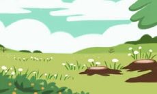 针对属牛男的财运，如何选购适合的植物来增加财运的可能性？（遵循牛年流年的旺财之道）