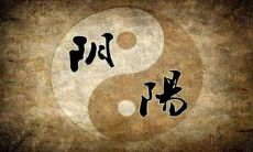 在路边寻找算命师，能否得到准确的预言？（Can accurate fortunes be obtained from roadside fortune tellers?)