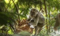 探究1956年属猴与2023年的命运对比，同时分析1960年属鼠的命运如何不同