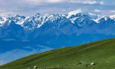 从1964年出生的属龙女的一生婚姻经历及命运走向