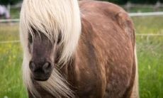 1978年的生肖是什么？现在属于马年的他们已经多少岁了？