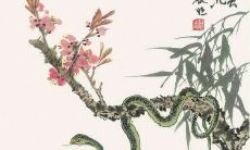 从最聪明到最不聪明，揭示十二生肖的智商排名榜