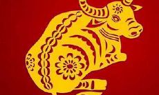 为什么属牛的人在本命年不要生孩子？生育的影响和注意事项是什么？