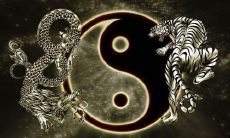 深入解析风水学中的青龙象征的含义及作用（深入研究风水学中朱雀和玄武所代表的意义）