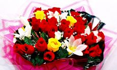 经历连续三天的梦境，每晚都梦见不同的前任：恋爱回忆将你的内心带上了迷路的旅途！