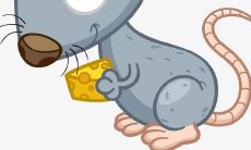 2023年生肖虎男孩的全年运势评选：探讨最佳运势得主