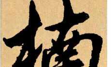 男孩取名楠字的最佳搭配及避免的禁忌