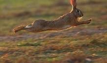 揭秘戊戌日柱男命的婚姻命运：拥有富贵双全的日柱所带来的种种可能性