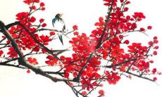 如何根据个人生辰八字选择适宜的提车吉日