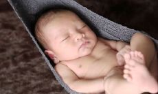 探索禾字旁取名男孩的完整指南：涵盖所有禾字旁的汉字取名方案