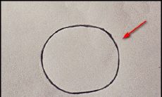 用面相学技巧，跟随简便步骤画出具有兔子面相特点的生肖兔（高骨低鼻眉）！