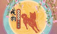 1958年出生的属狗女2023年健康前景如何？（探寻1958年属狗女晚年的命运状况）