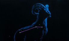 白羊座女生的性格特点及血型探究：以4月19日出生的白羊女为例