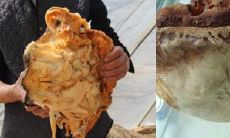 为什么需要给太岁星君奉安？奉安太岁星君的意义是什么？