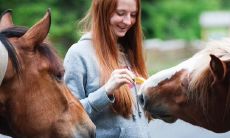 为什么越来越多的人认为双鱼座的女孩越来越美丽，而她们似乎表现出更多的懒惰倾向？