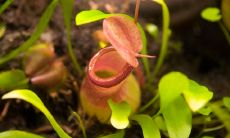 了解农村房屋前后风水：探寻风水中所谓的凶地含义