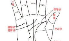 女性与男性手相中事业线的比较：图解女性手相事业线与男性手相事业线中的异同点