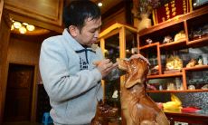 如何提升属狗未来15天的财运发展？探索今年属狗财运的变化趋势！