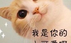 星座天秤座和白羊座之间的配对指数评估（评估白羊座和天秤座的最佳匹配指数）