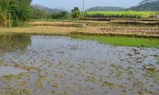 详解己未日柱时辰对于不同月份的影响和精要说明