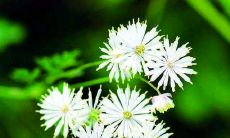 如何预见好姻缘的出现？察觉姻缘到来的家里征兆有哪些？