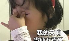 天秤座与天秤座的婚姻配对能否称作完美境界？（Can a marriage between two Libras be the epitome of perfection?)