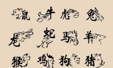 探究1999年2月11日生人的生肖是什么，以及95年的猪男和98年的虎女在八字上的搭配是否合适