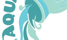 水瓶座的完美配偶：探讨水瓶座女和水瓶座男的理想匹配指数