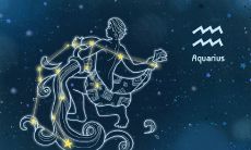 探寻摩羯座与狮子座男生性格对比下不同的爱情观，揭示摩羯座爱情观的不足与狮子座男生理性又浪漫的完美爱情观