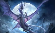 今年是76年属龙的人多少岁？他们的财运会在43岁后发生何种变化？