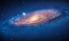 我梦见了成群的蛇一直咬着我不放：这个梦中的奇怪象征意味着什么？