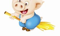 属猪人的风水布局：从床位放置到财运的考虑，探讨最佳方向以避免越住越穷的情况发生