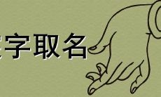 女孩宸字取名的深层寓意与涵义探究