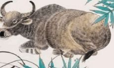 2023年属牛的朋友们，哪些生肖最适合相伴终身呢？