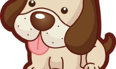 2023属马人，即将增添家庭成员？——究竟会发生什么？