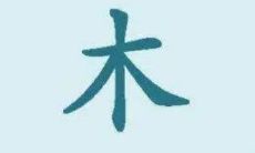 想给新生儿起名的父母注意啦！有关"木字旁"的字的男孩名字大盘点！